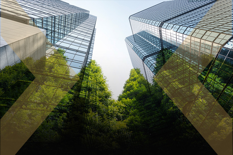 Sustainability Graph